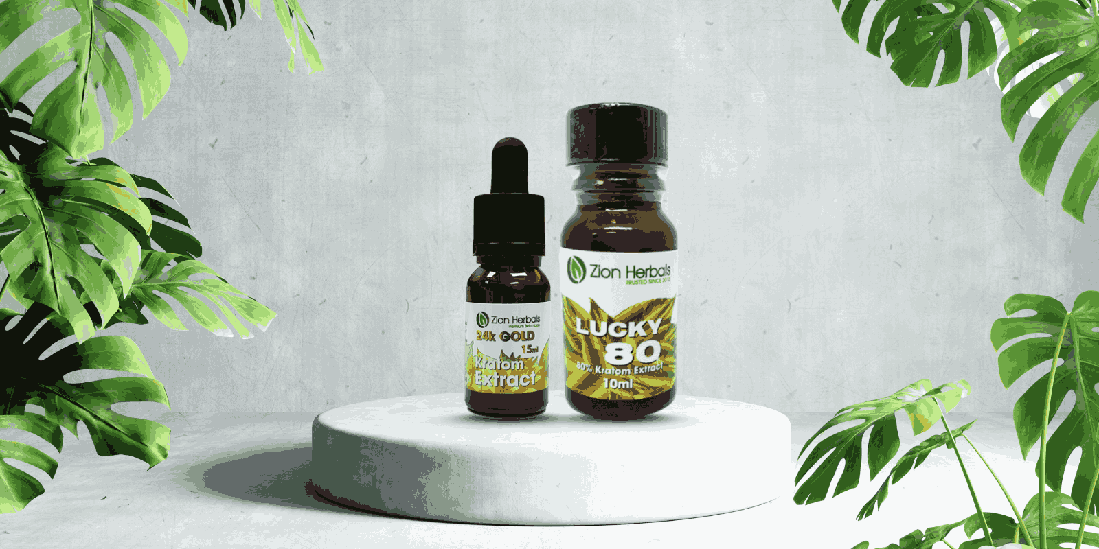 "Honest Zion Herbals Review: Complete Guide